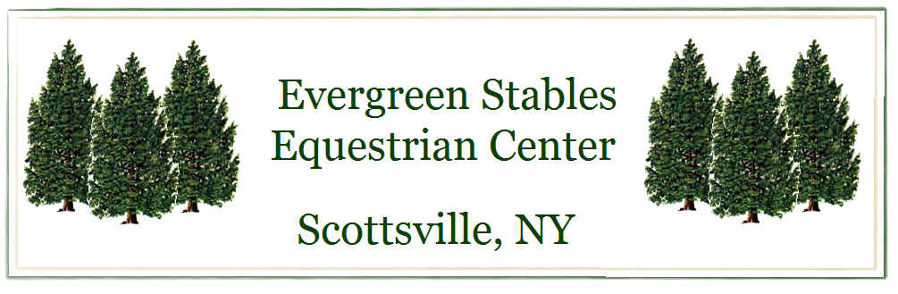 Evergreen Stables Equestrian Center in Scottsville, NY with evergreen trees