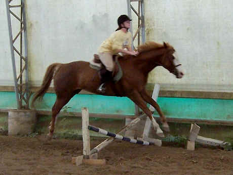 Rider on lesson horse jumping a cross-rail jump in the indoor arena